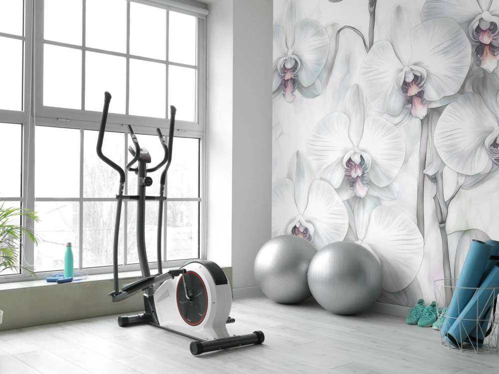 Raj Orchidei Zielony