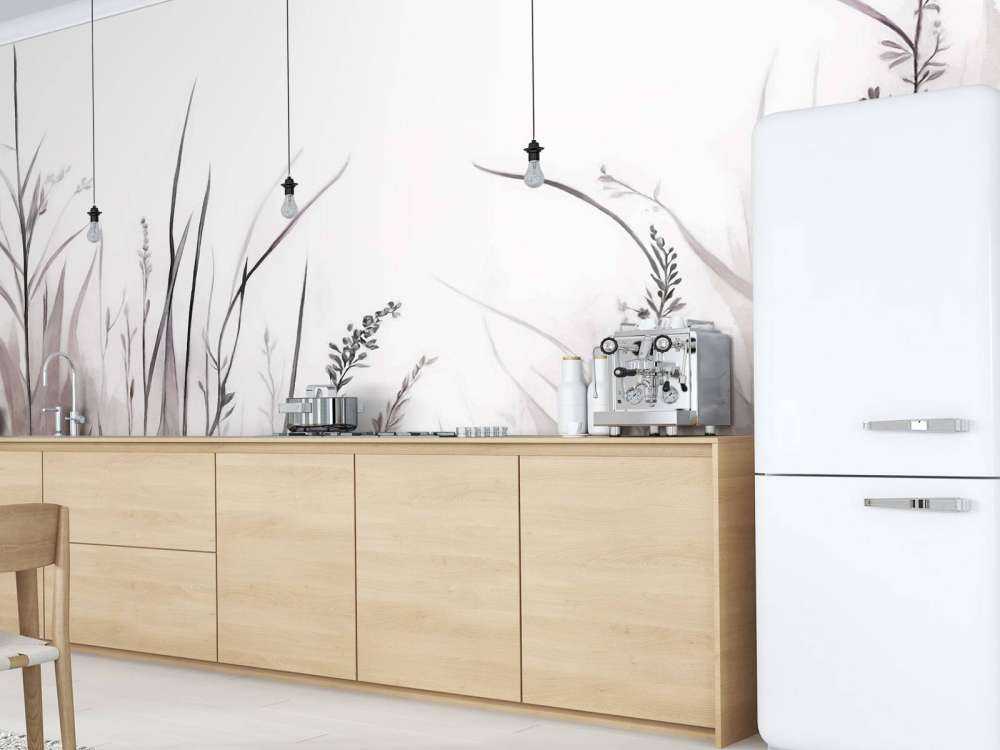 Harmonia Przygaszona Malwa