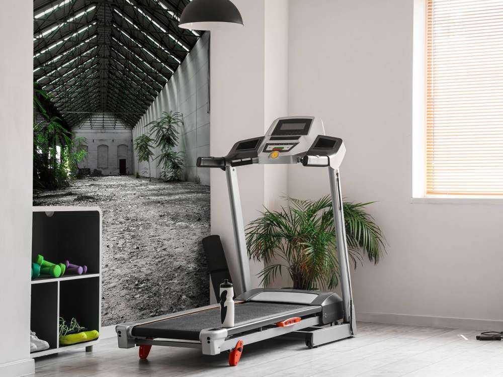 Hala przemysłowa z roślinami