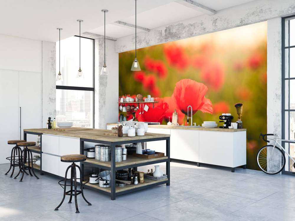 Maki o wschodzie słońca