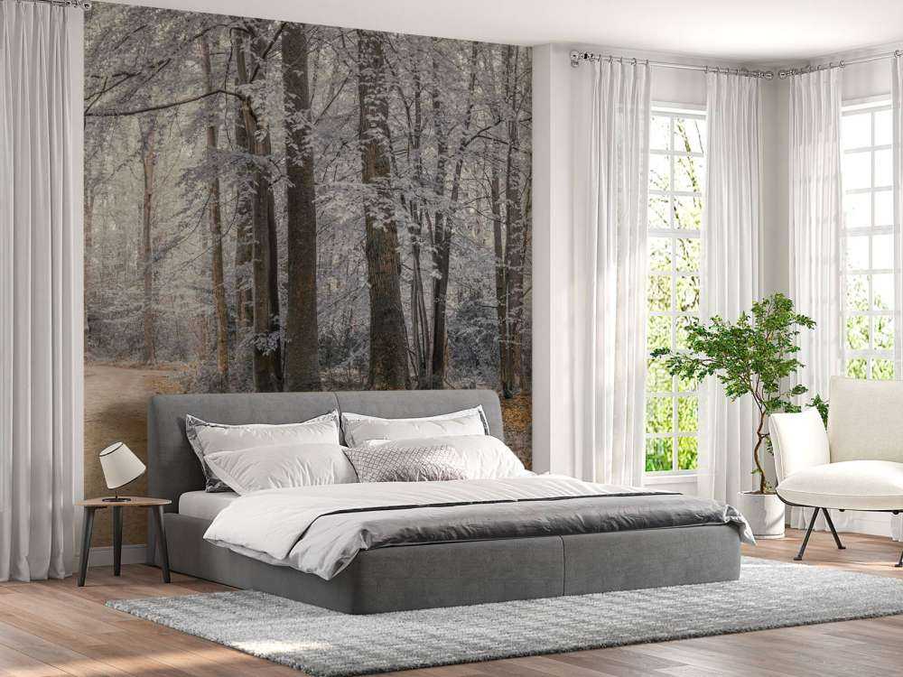 Drzewa z białymi liśćmi