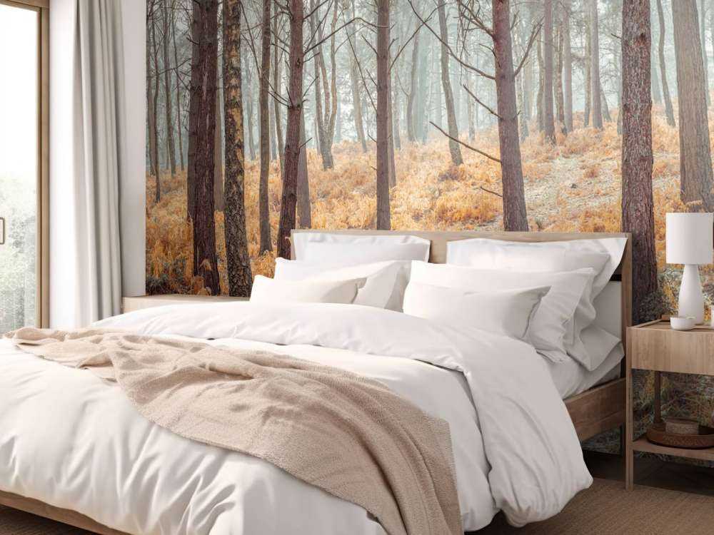 Las w okresie jesiennym