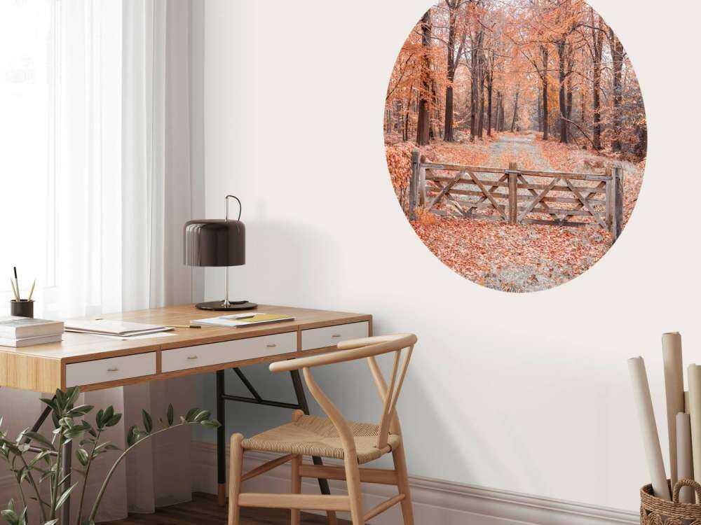 Przejście do jesiennego lasu