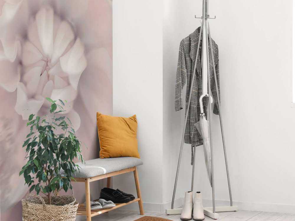 Różowy kwiat dalii