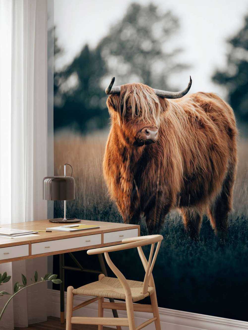 Portret góralskiego bydła