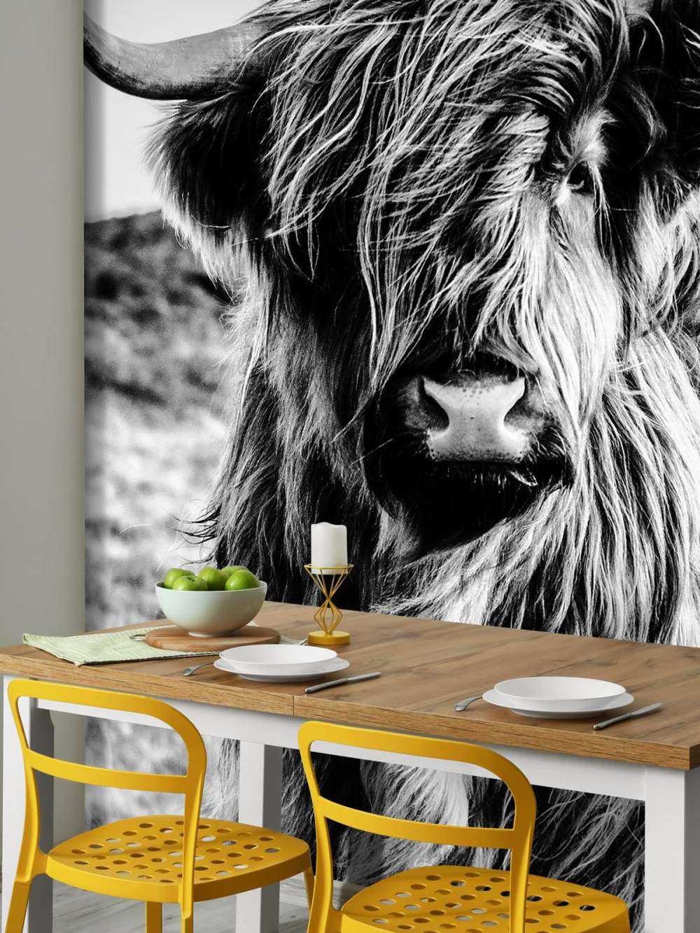 Szkocka rasa wyżynna w czerni i bieli