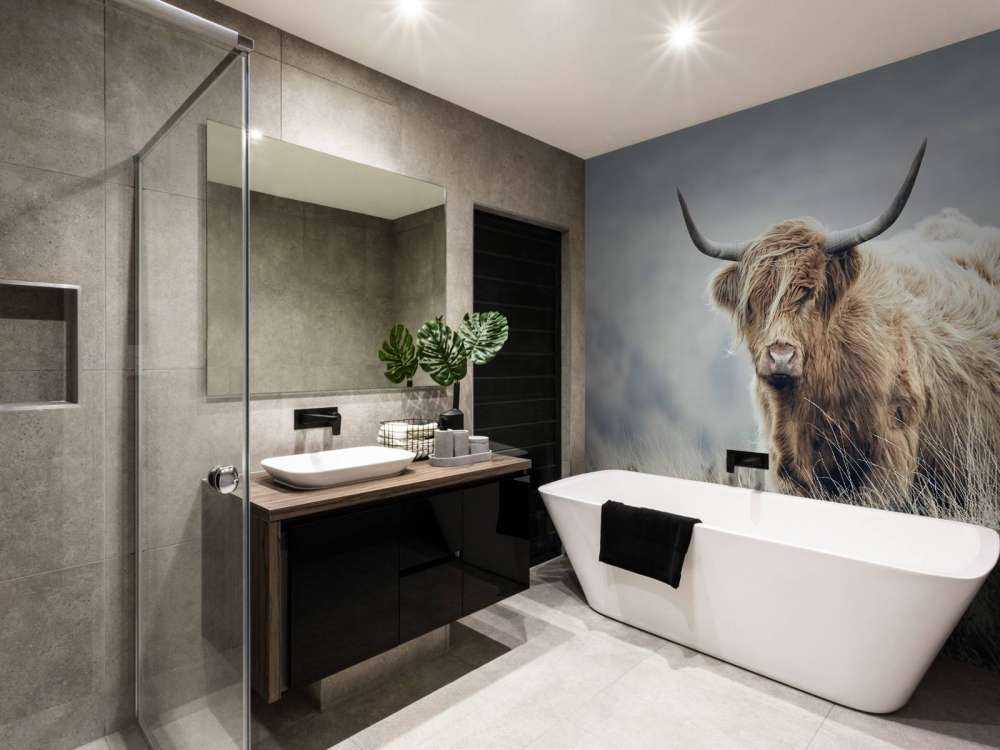 Szkocka rasa wyżynna w przyrodzie