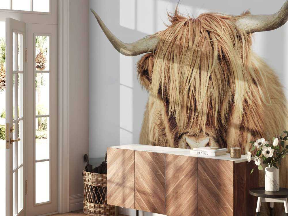 Zbliżenie na szkocką rasę wyżynna