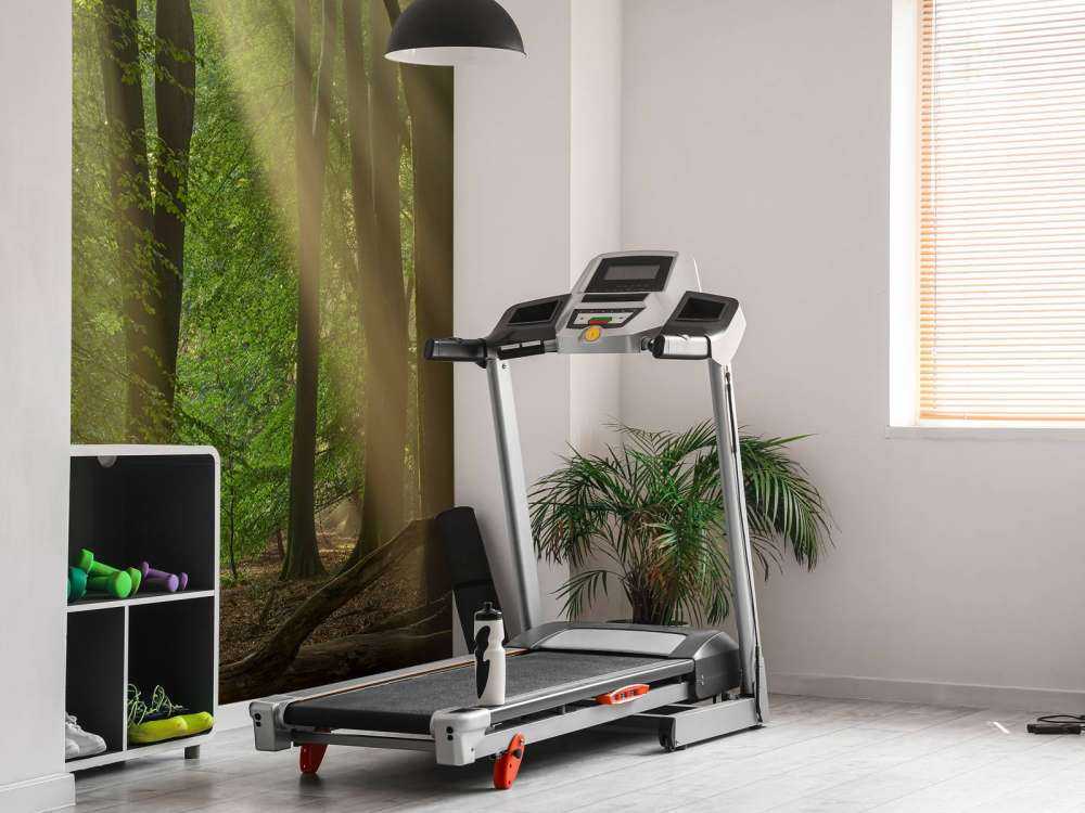 Harfy słoneczne w lesie