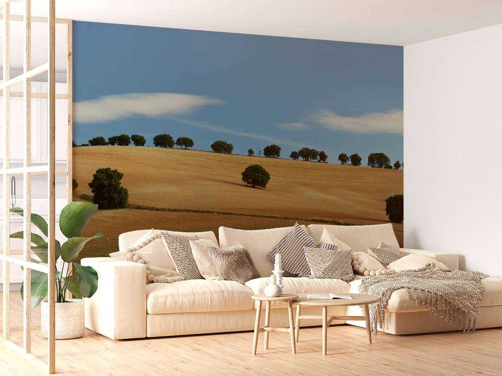 Drzewa w hiszpańskim krajobrazie