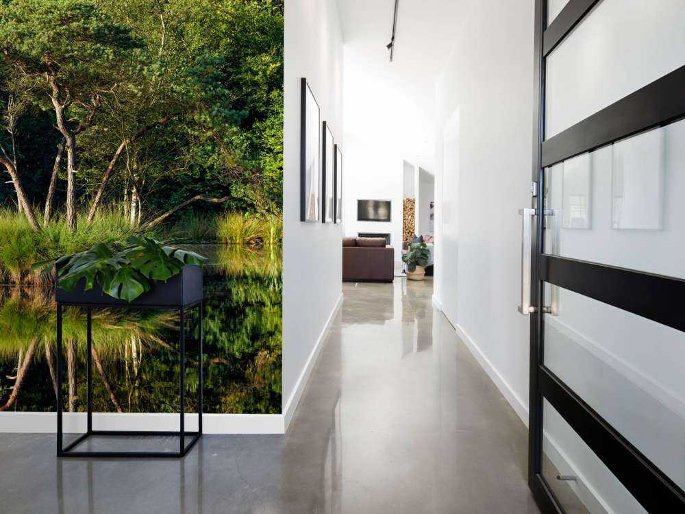 Wyspa w jeziorze leśnym