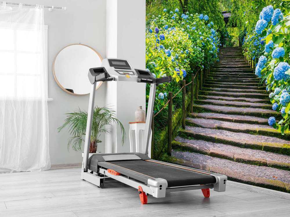 Schody między hortensjami