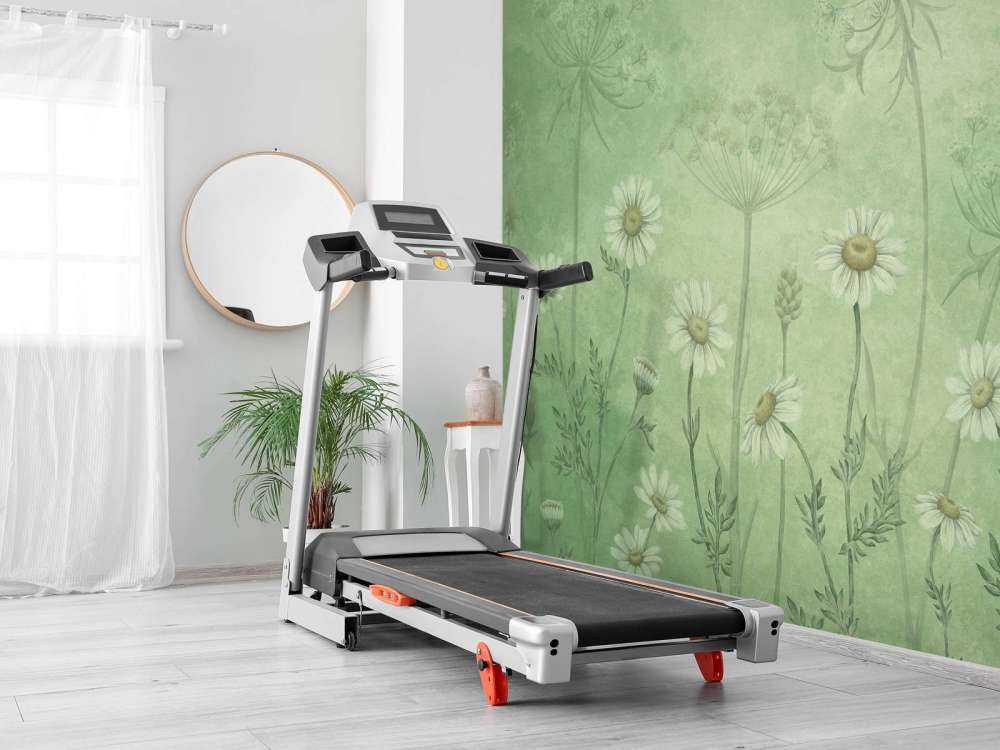 Dazzling Daisies - Green