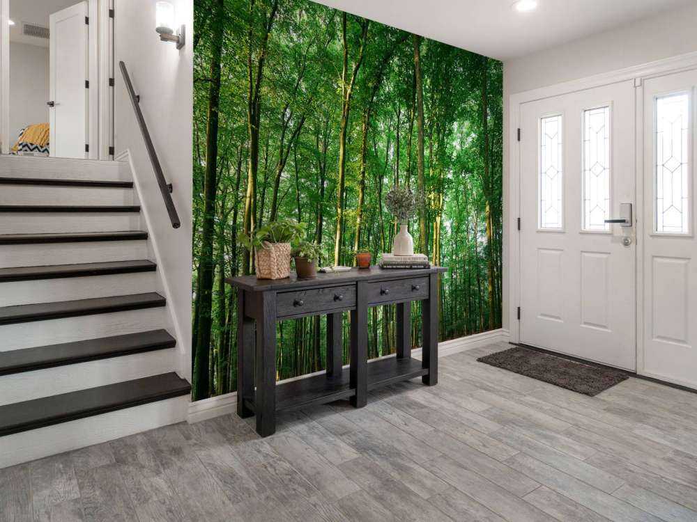 Zielony las ze światłem słonecznym