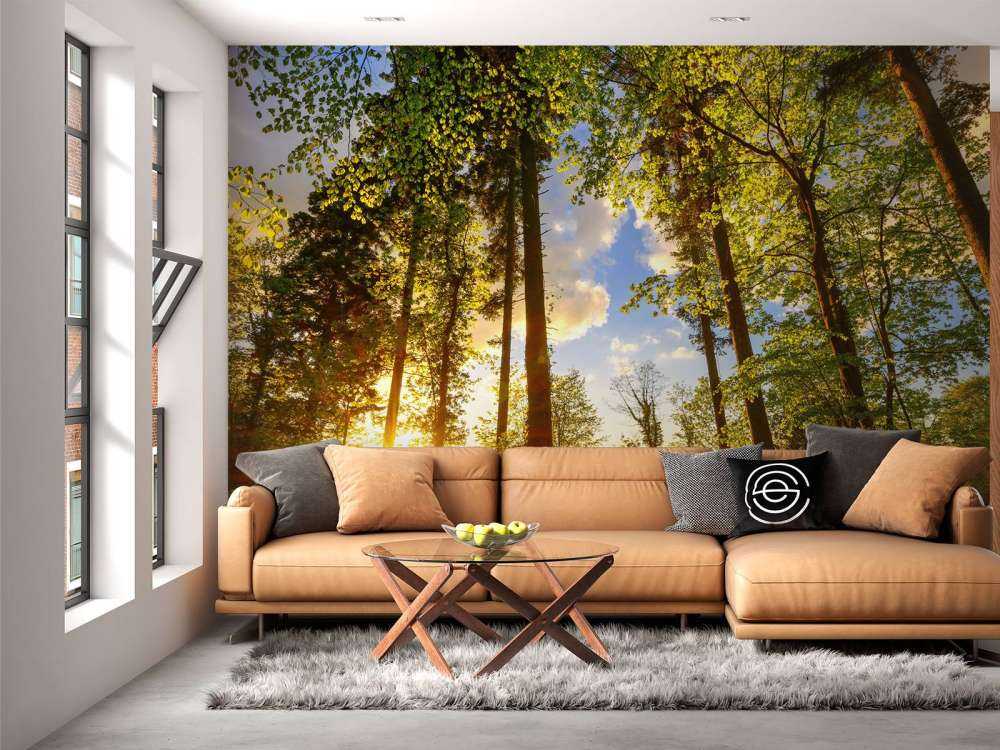 Zachód słońca wśród drzew