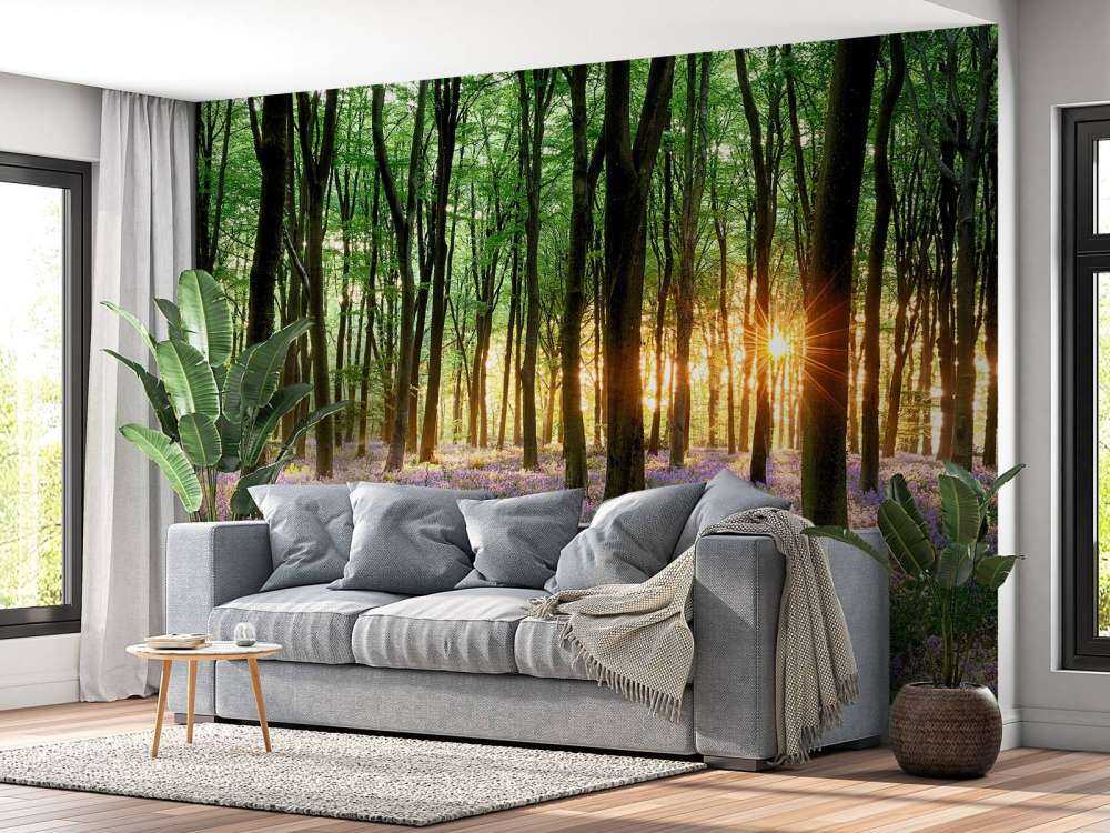 Leśna ścieżka o wschodzie słońca