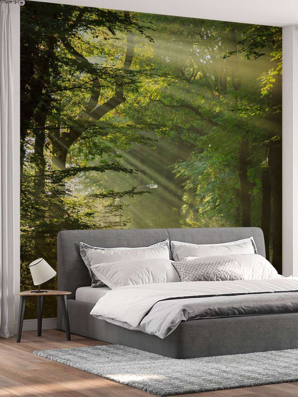 Promienie słońca przez drzewa