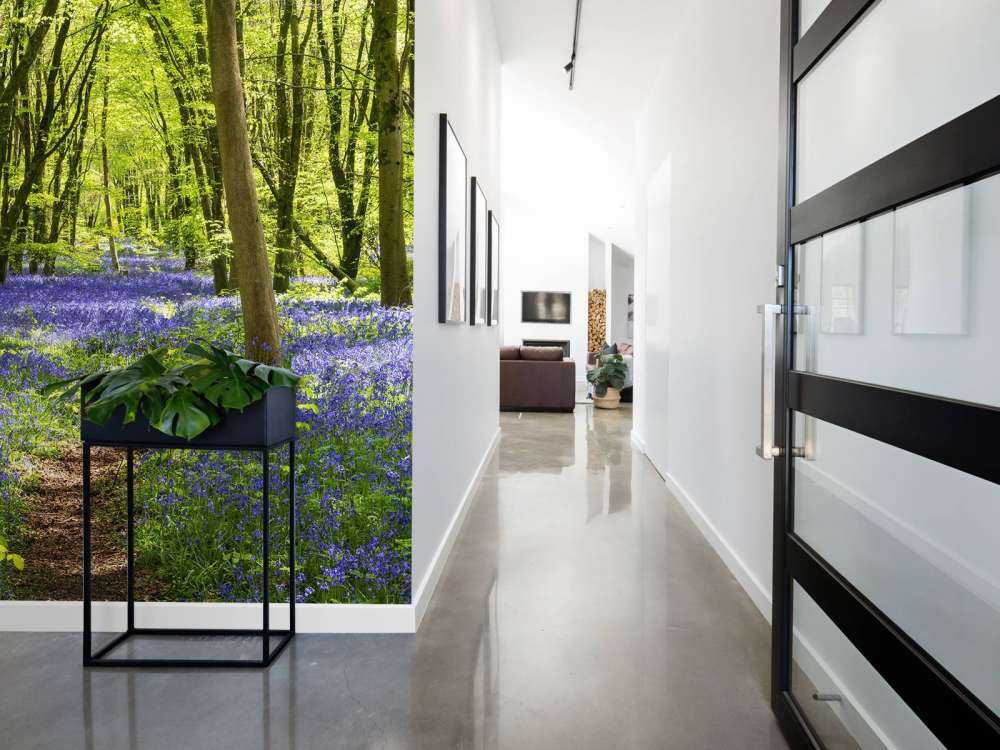 Las w blasku słońca