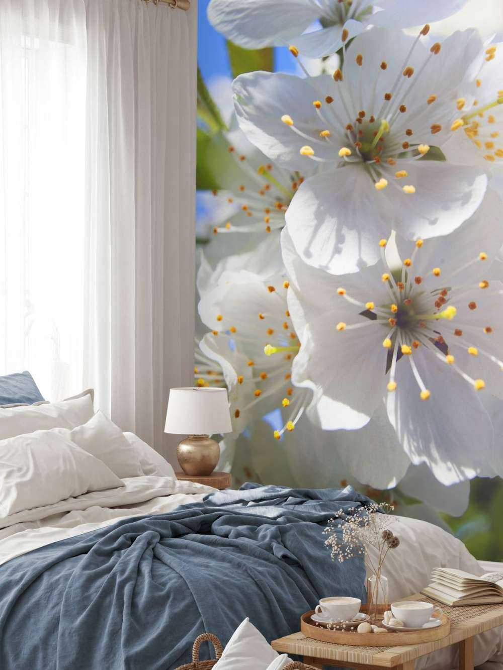 Zbliżenie na białe kwiaty