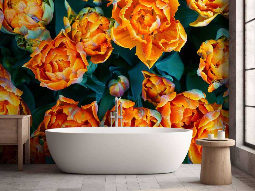 Zbliżenie na pomarańczowe tulipany