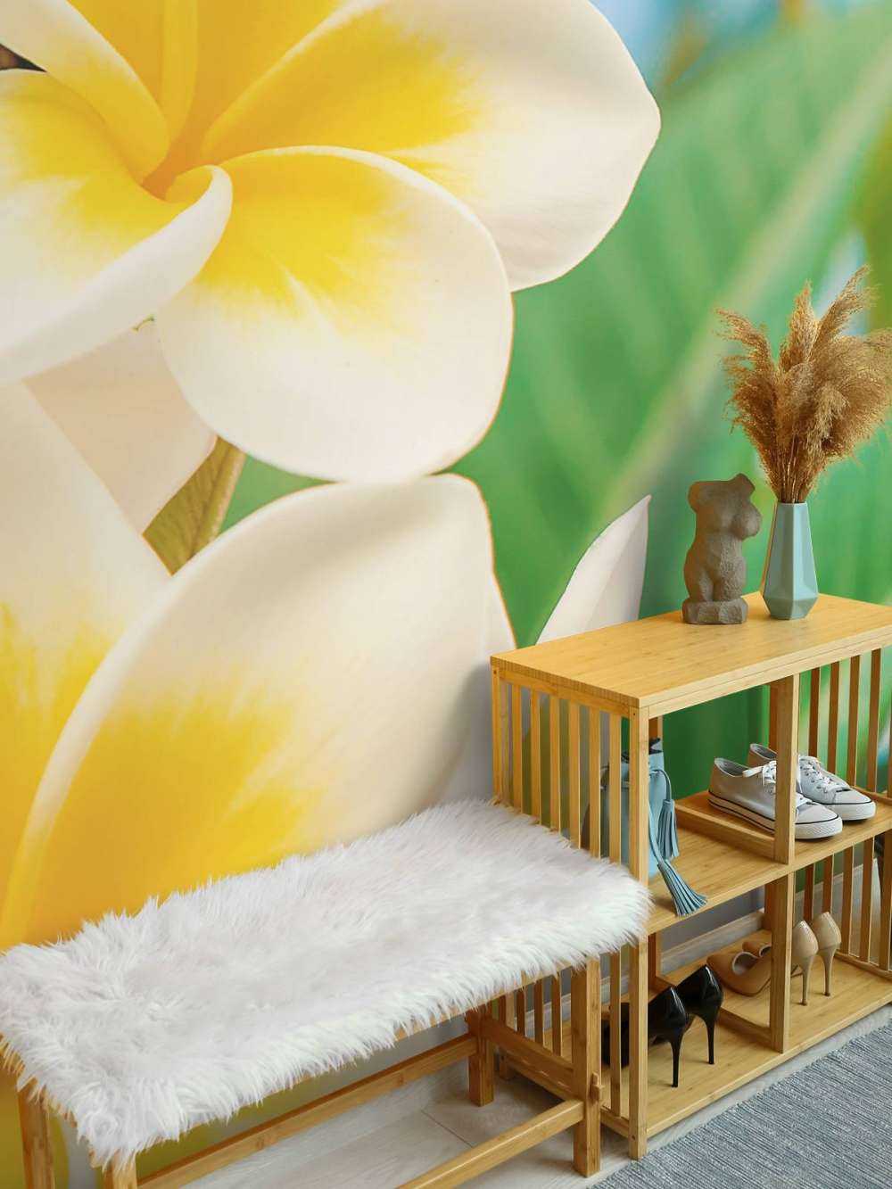 Biały Żółty Kwiat Plumerii