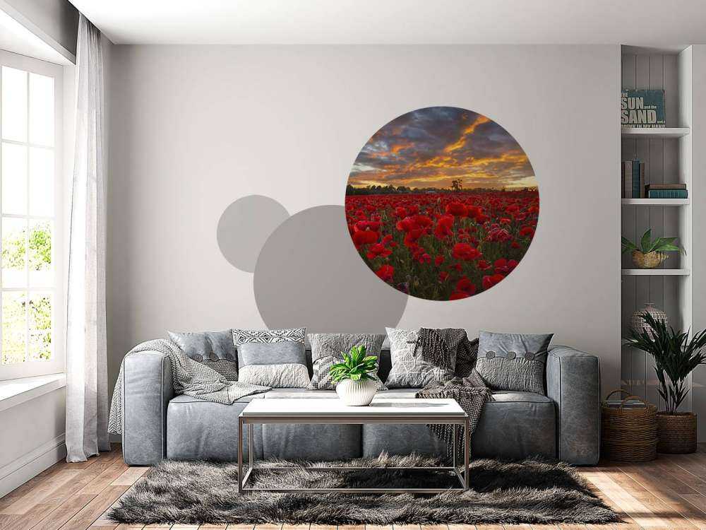 Pole maków z pięknym niebem