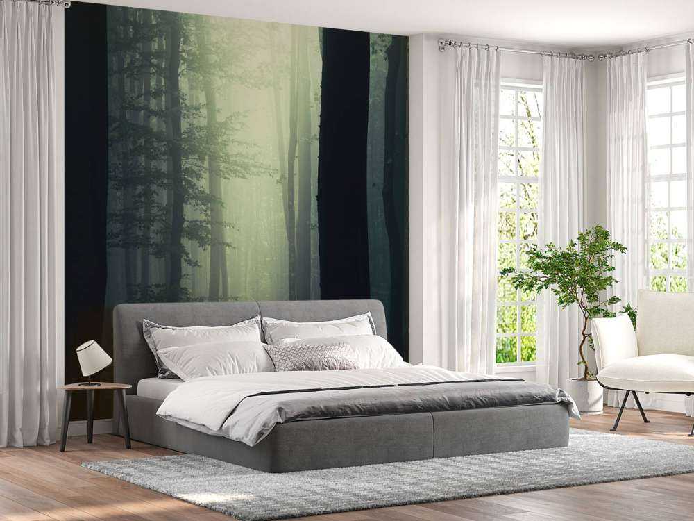 Promień słońca w lesie