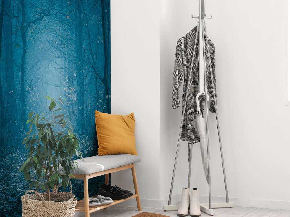 Niebieska ścieżka leśna