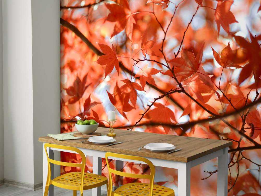 Kolorowe jesienne liście