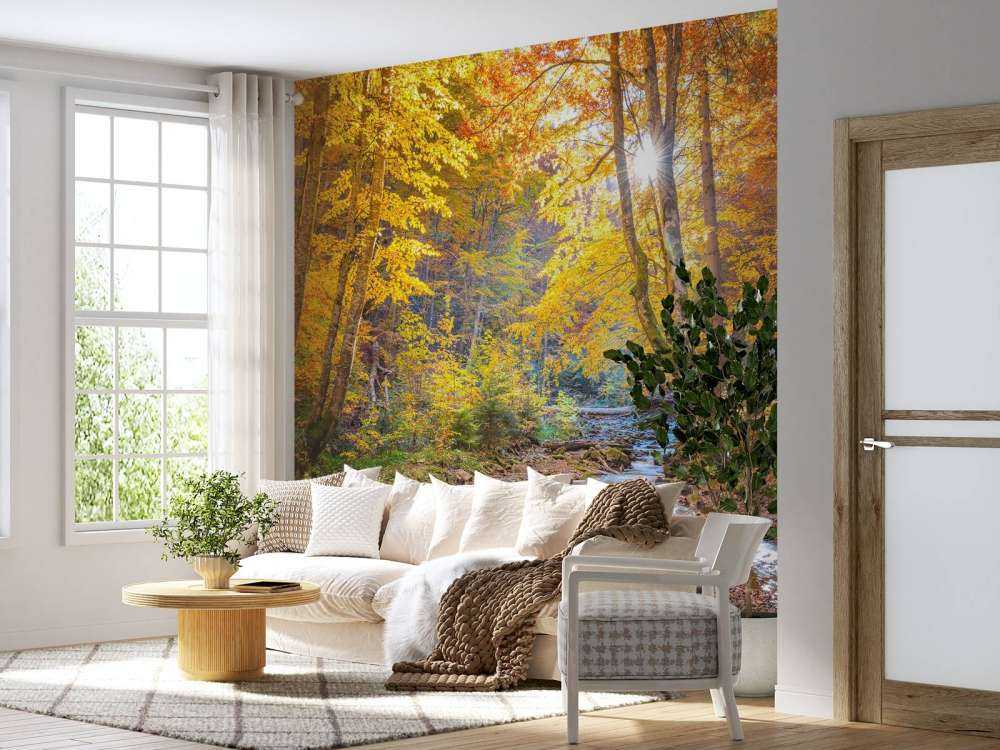 Jesień w dzikim lesie