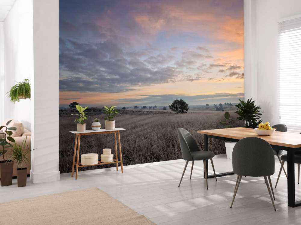 Trawy na wrzosowiskach