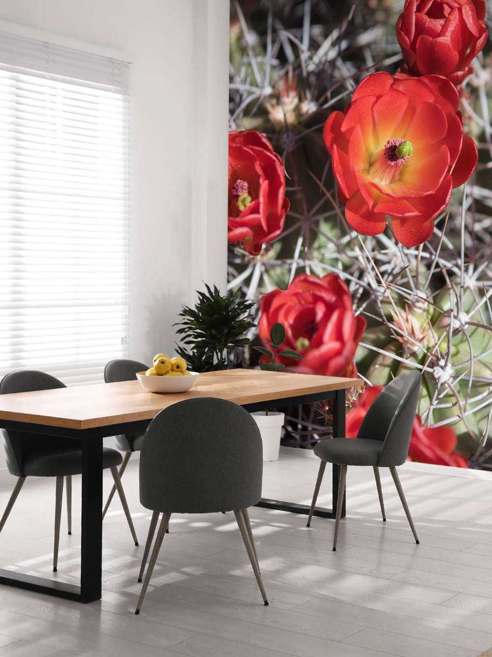 Czerwone kwiaty kaktusa