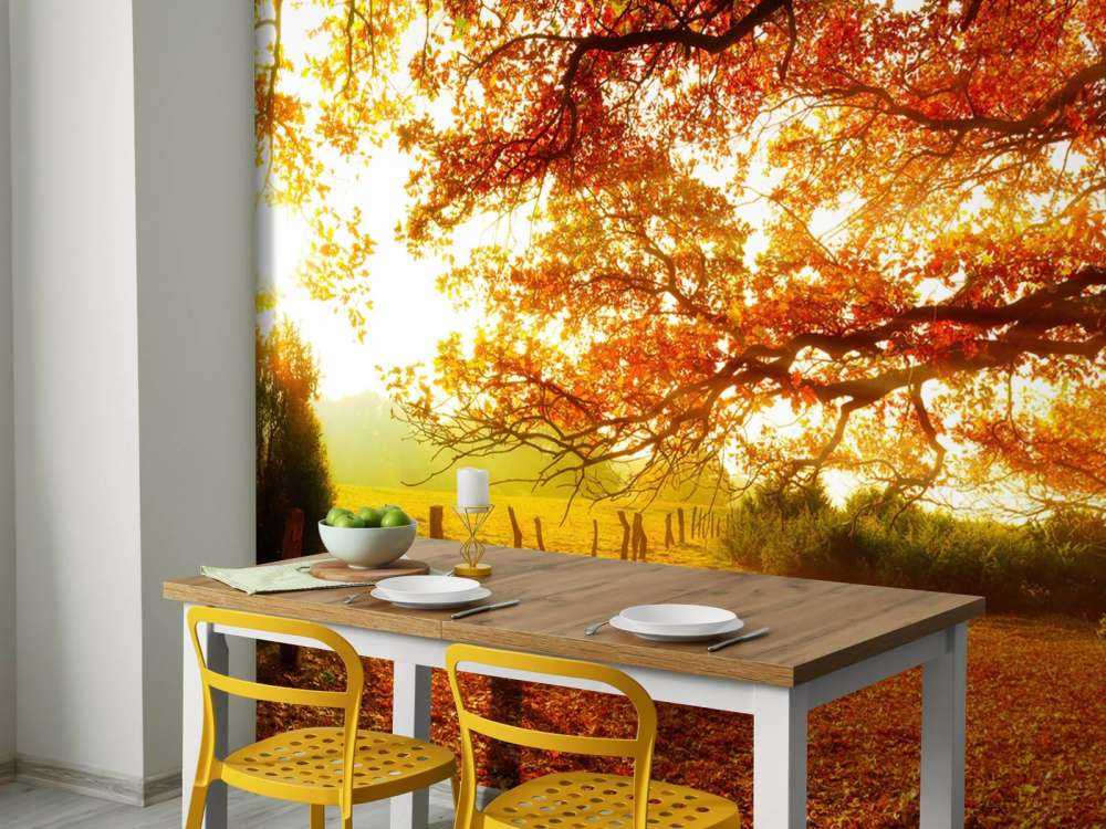 Jesienny krajobraz z lasem i łąką