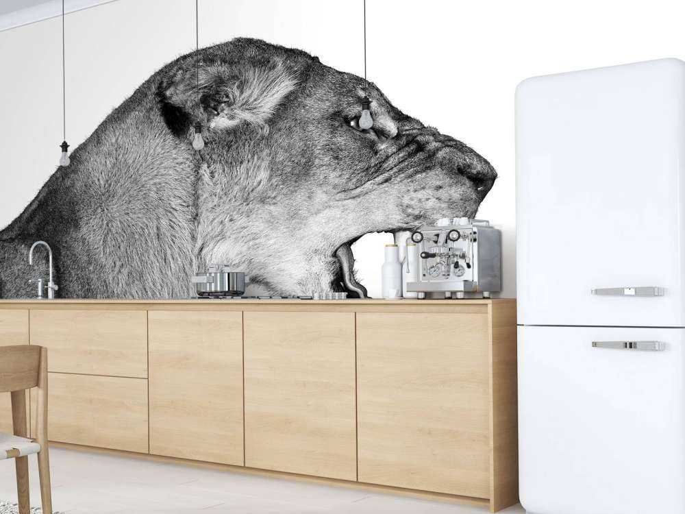 Widok z boku lwicy biały