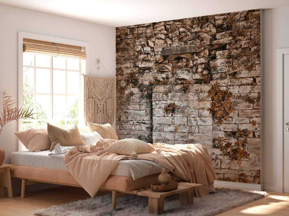 Ściana pokryta roślinnością jesienią