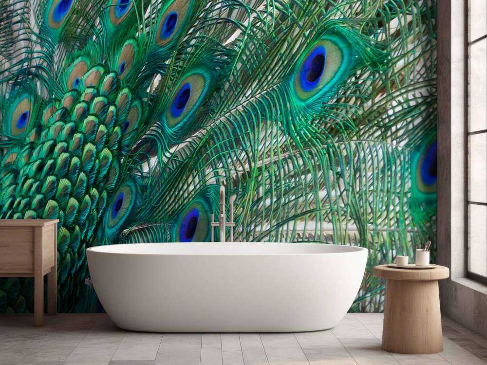 Kolorowe upierzenie pawia