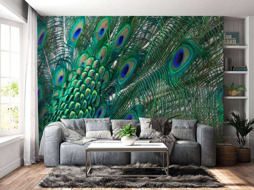 Kolorowe upierzenie pawia