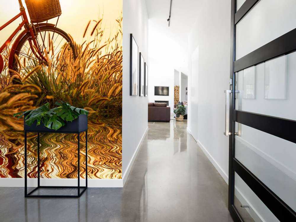 Rower na zachodzie słońca