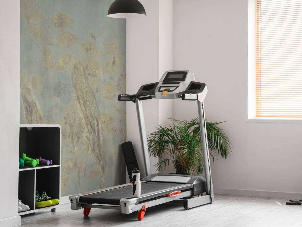 Schapenzuring i struikwilg - saliegroen