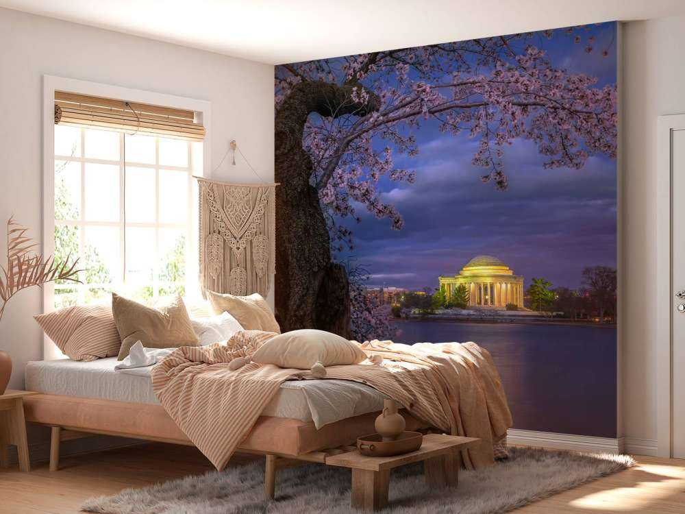 Cherry blossoms around the Jefferson Memorial