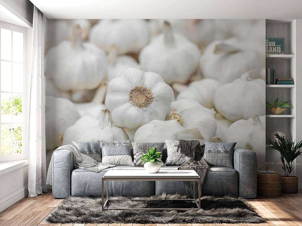 Czosnek w zbliżeniu