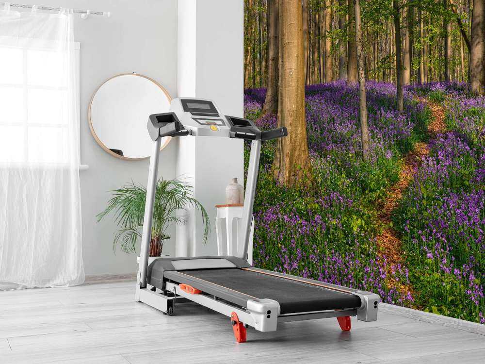 Ścieżka przez las z hiacyntami