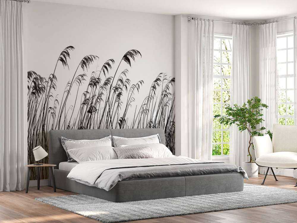 Trzcina wzdłuż nabrzeża w czerni i bieli