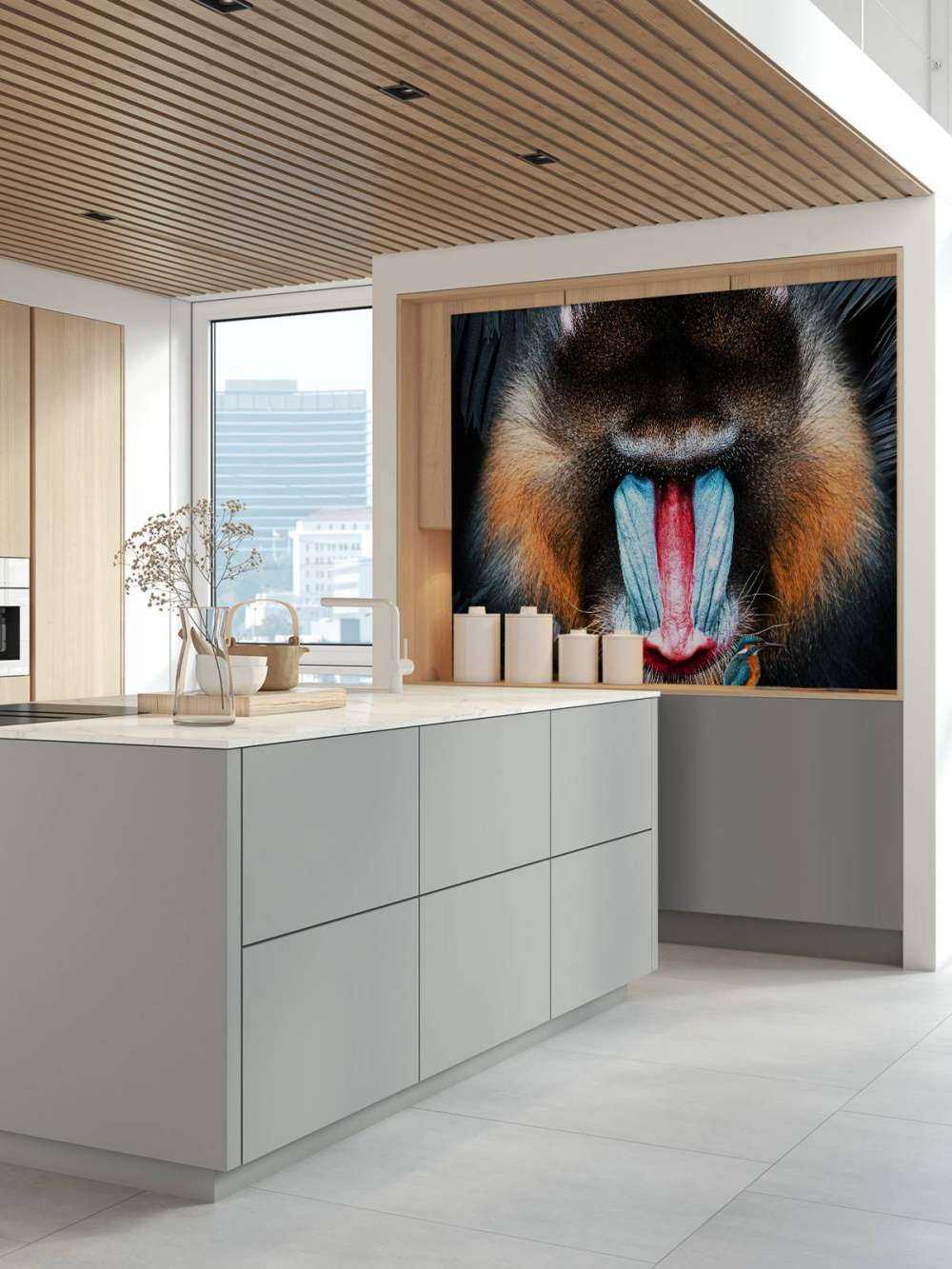 Mandrill Portret