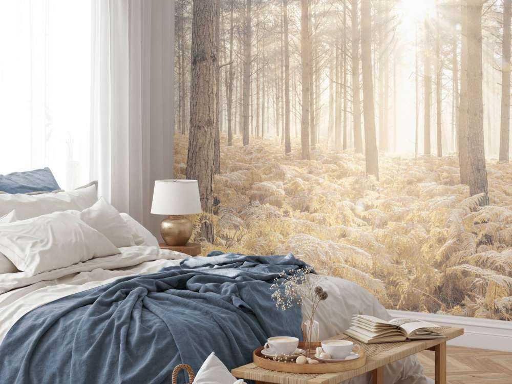 Promienie słońca w zimnym lesie