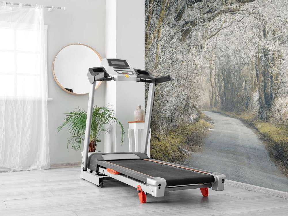 Zamarznięta droga przez las