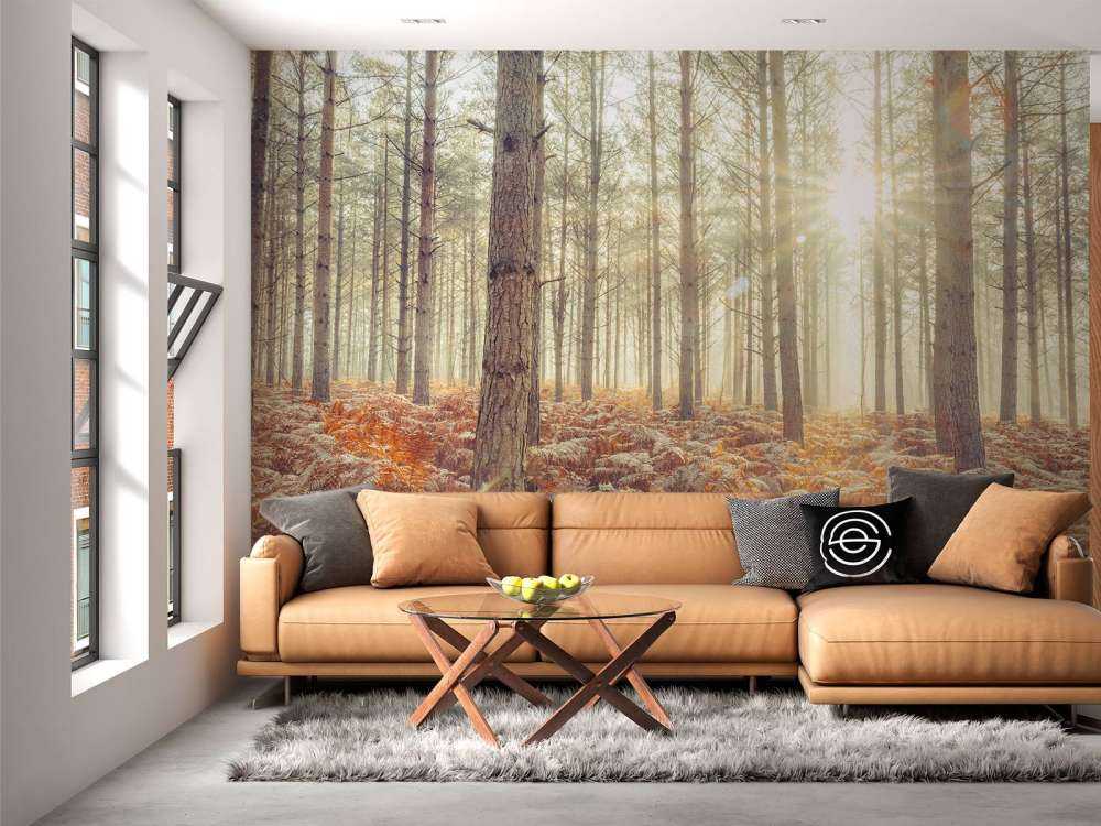 Promienie słońca przez zimne drzewa