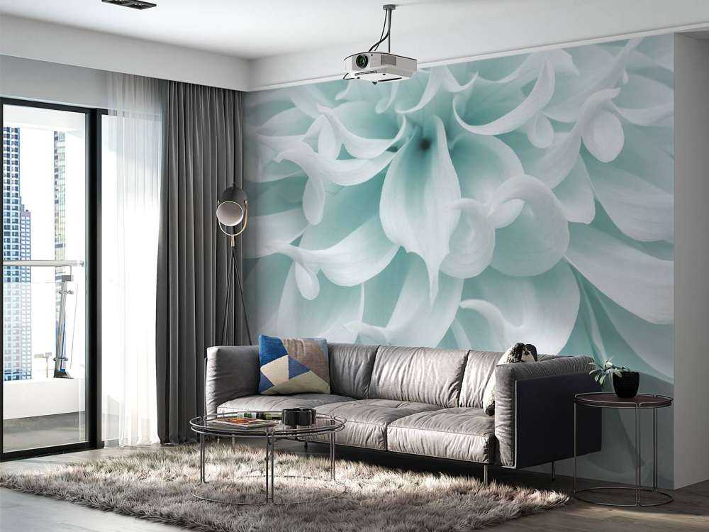 Dalia o jasnej barwie