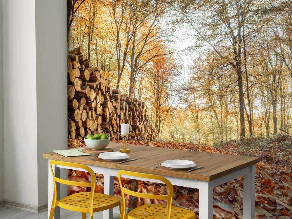 Pnie drzew w jesiennym lesie