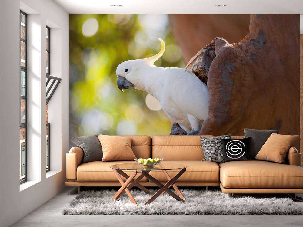 Kakadu w dziupli drzewa